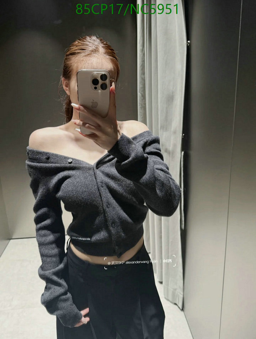 Alexander Wang-Clothing Code: NC5951 $: 85USD