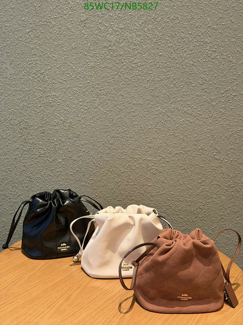 Coach-Bag-4A Quality Code: NB5827 $: 85USD