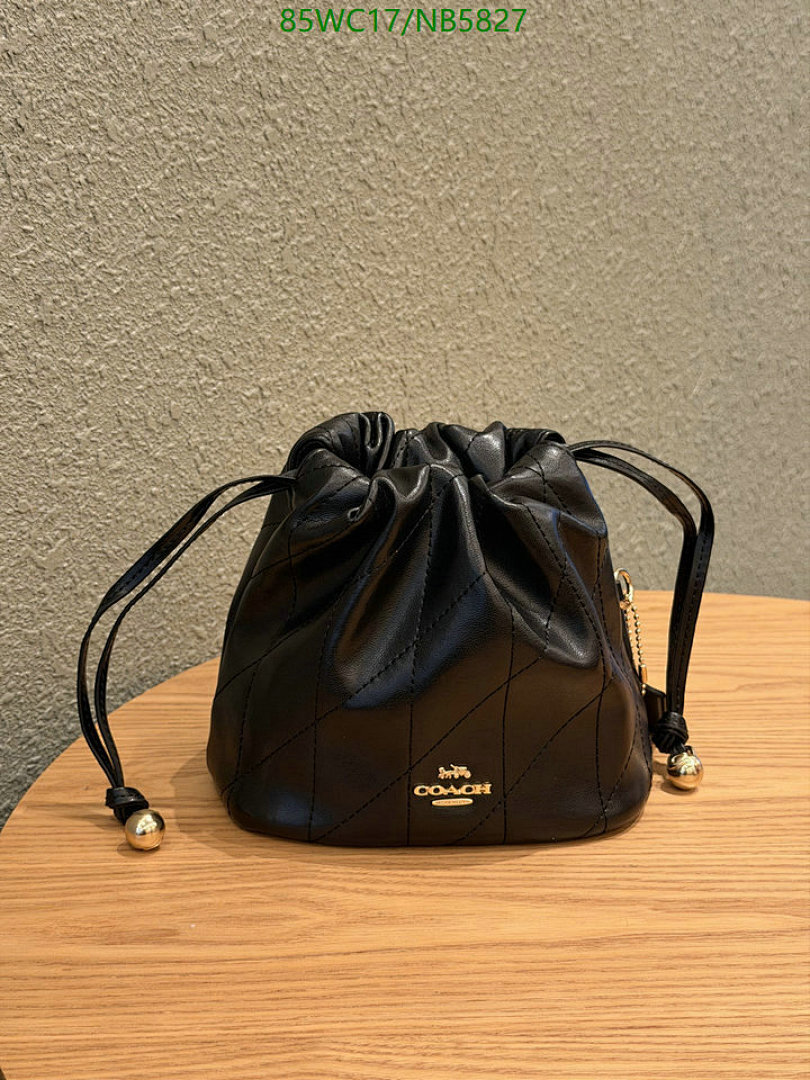 Coach-Bag-4A Quality Code: NB5827 $: 85USD