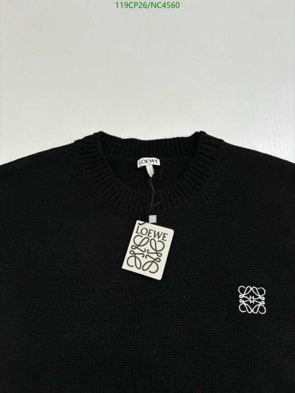 Loewe-Clothing Code: NC4560 $: 119USD