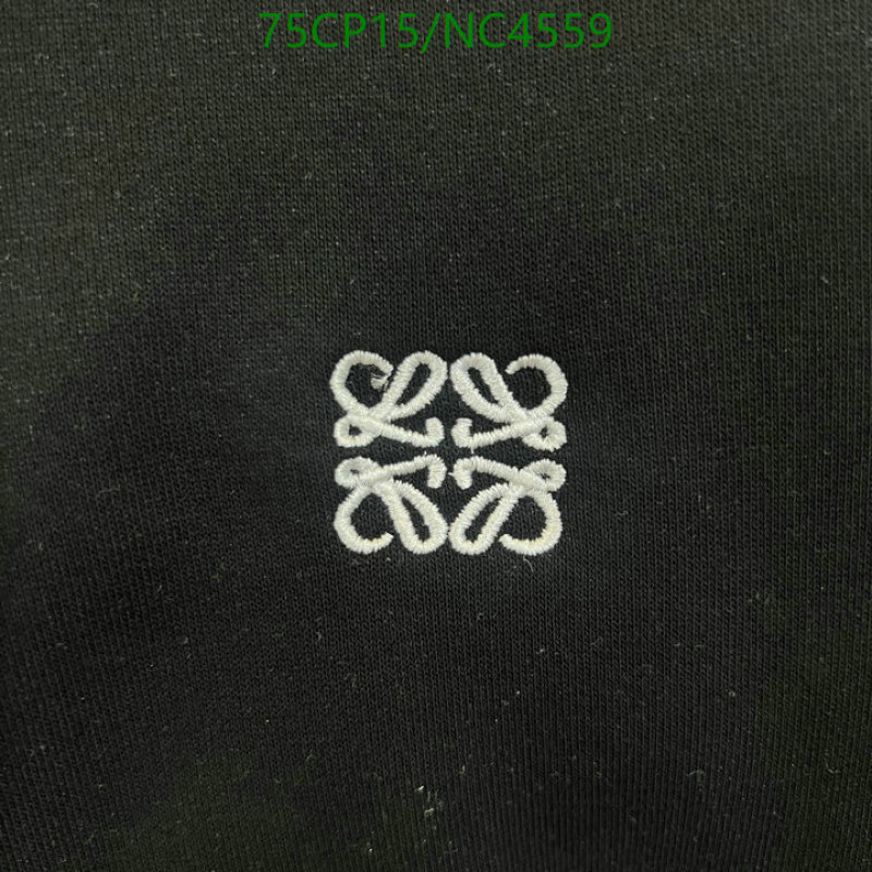 Loewe-Clothing Code: NC4559 $: 75USD