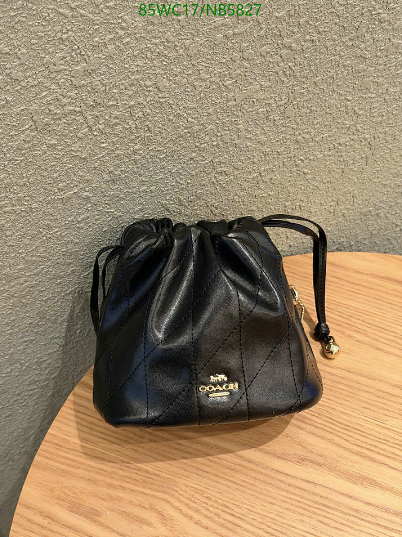 Coach-Bag-4A Quality Code: NB5827 $: 85USD