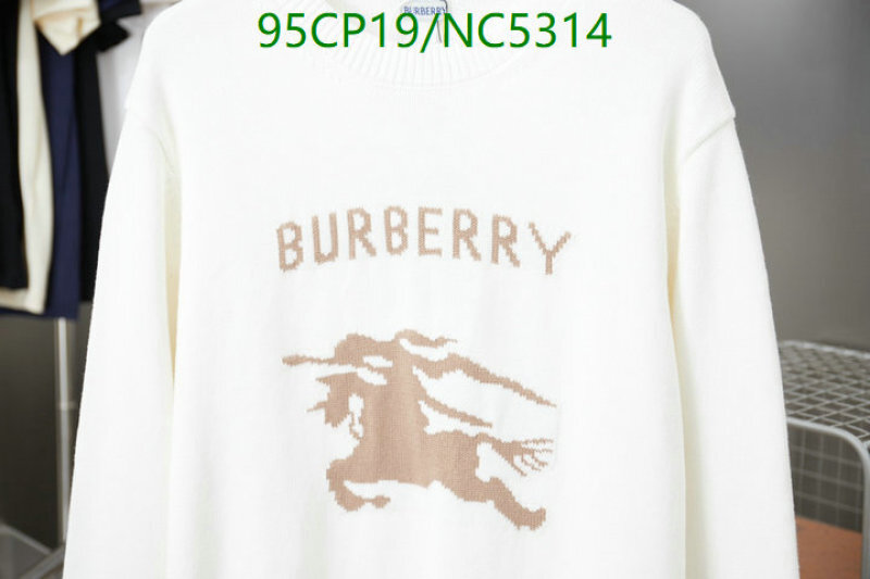 Burberry-Clothing Code: NC5314 $: 95USD