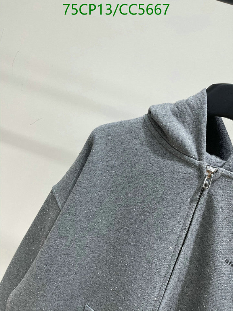 Alexander Wang-Clothing Code: CC5667 $: 75USD