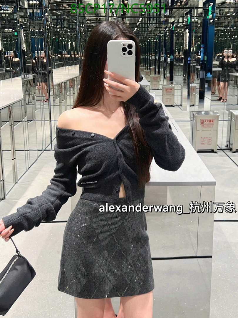 Alexander Wang-Clothing Code: NC5951 $: 85USD