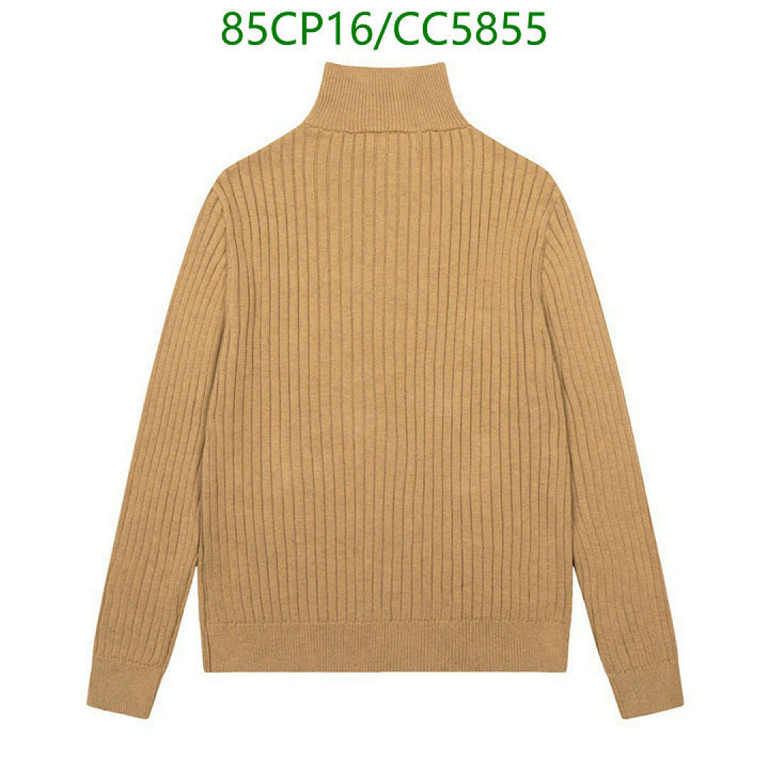 Ralph Lauren-Clothing Code: CC5855 $: 85USD