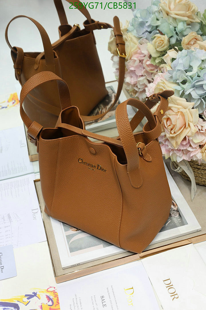 Dior-Bag-Mirror Quality Code: CB5831 $: 259USD