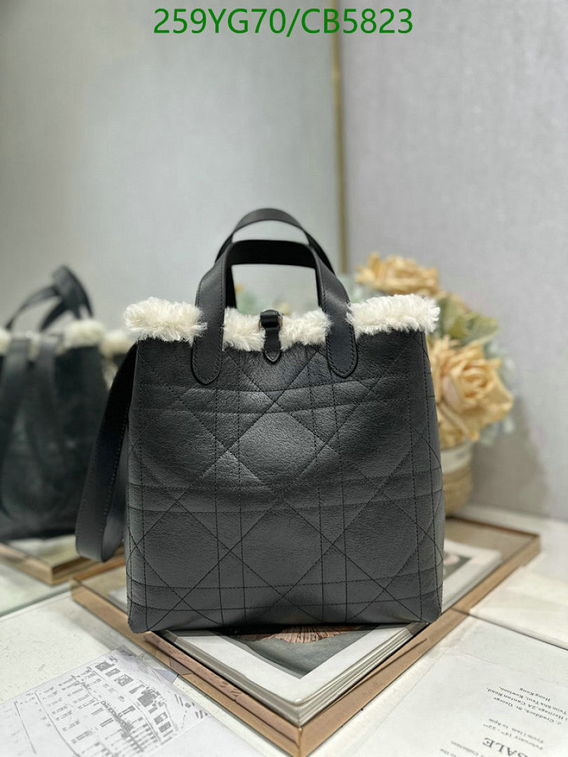 Dior-Bag-Mirror Quality Code: CB5823