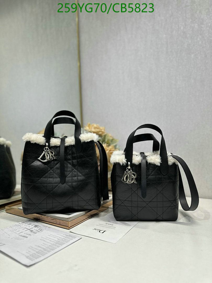 Dior-Bag-Mirror Quality Code: CB5823