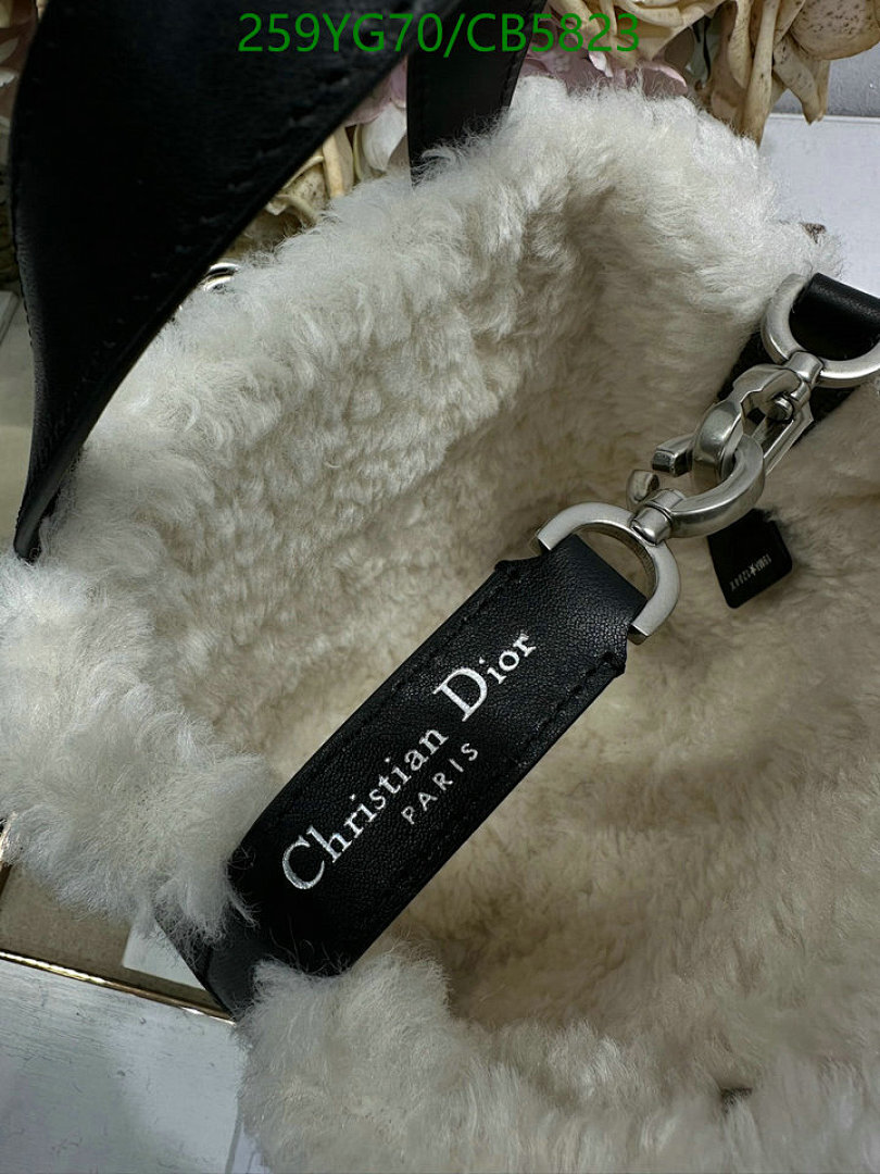 Dior-Bag-Mirror Quality Code: CB5823