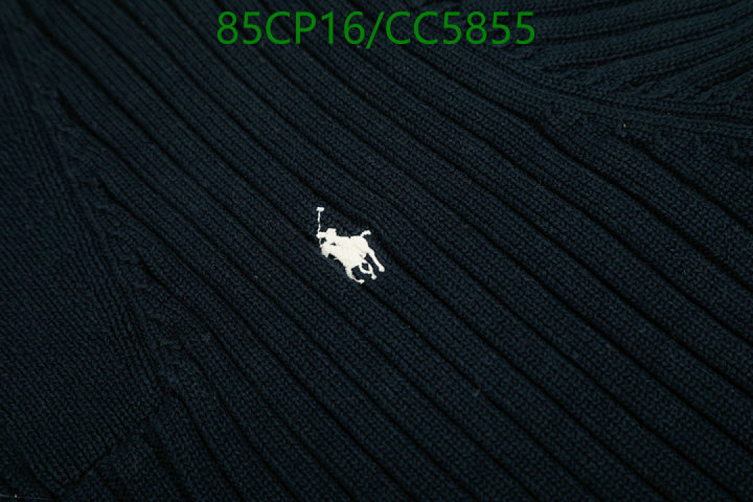 Ralph Lauren-Clothing Code: CC5855 $: 85USD