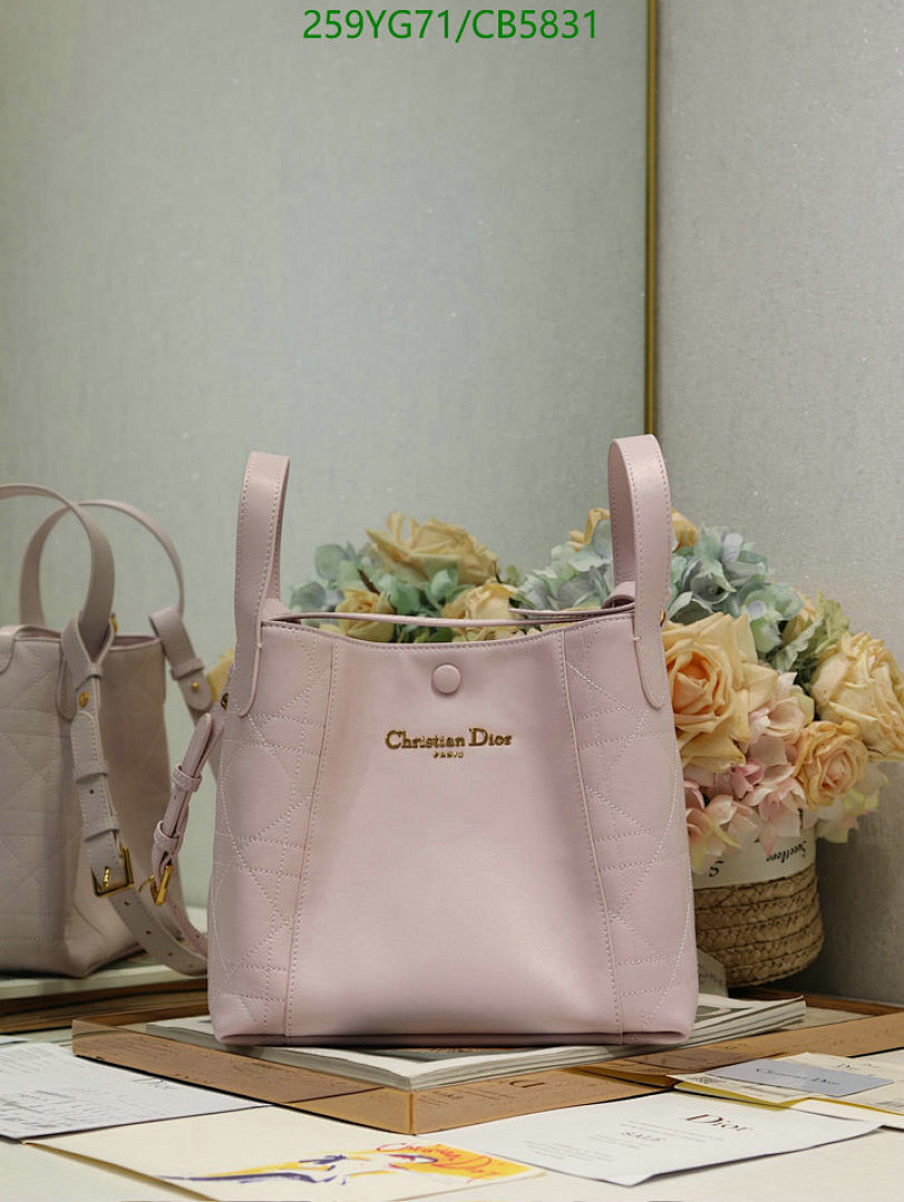 Dior-Bag-Mirror Quality Code: CB5831 $: 259USD