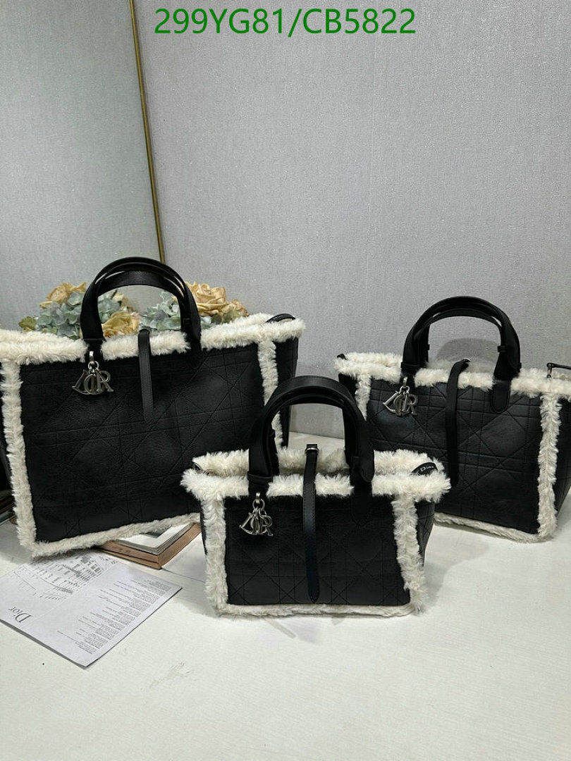 Dior-Bag-Mirror Quality Code: CB5822