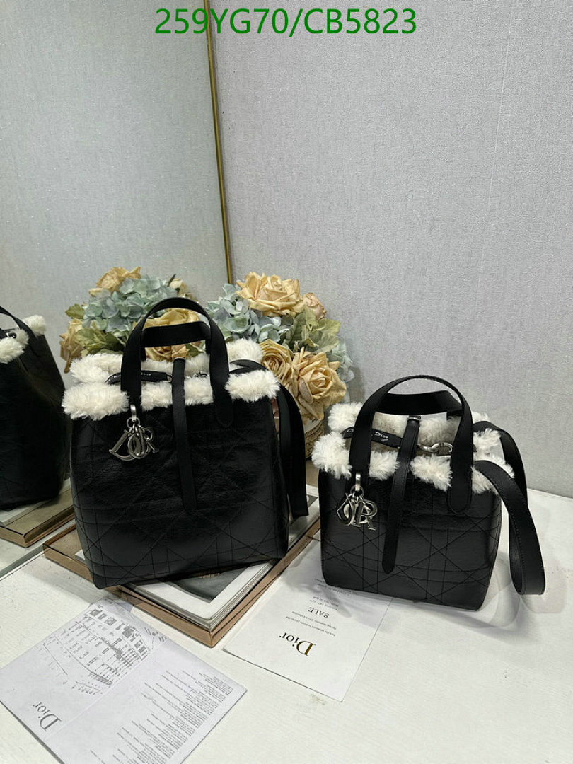Dior-Bag-Mirror Quality Code: CB5823
