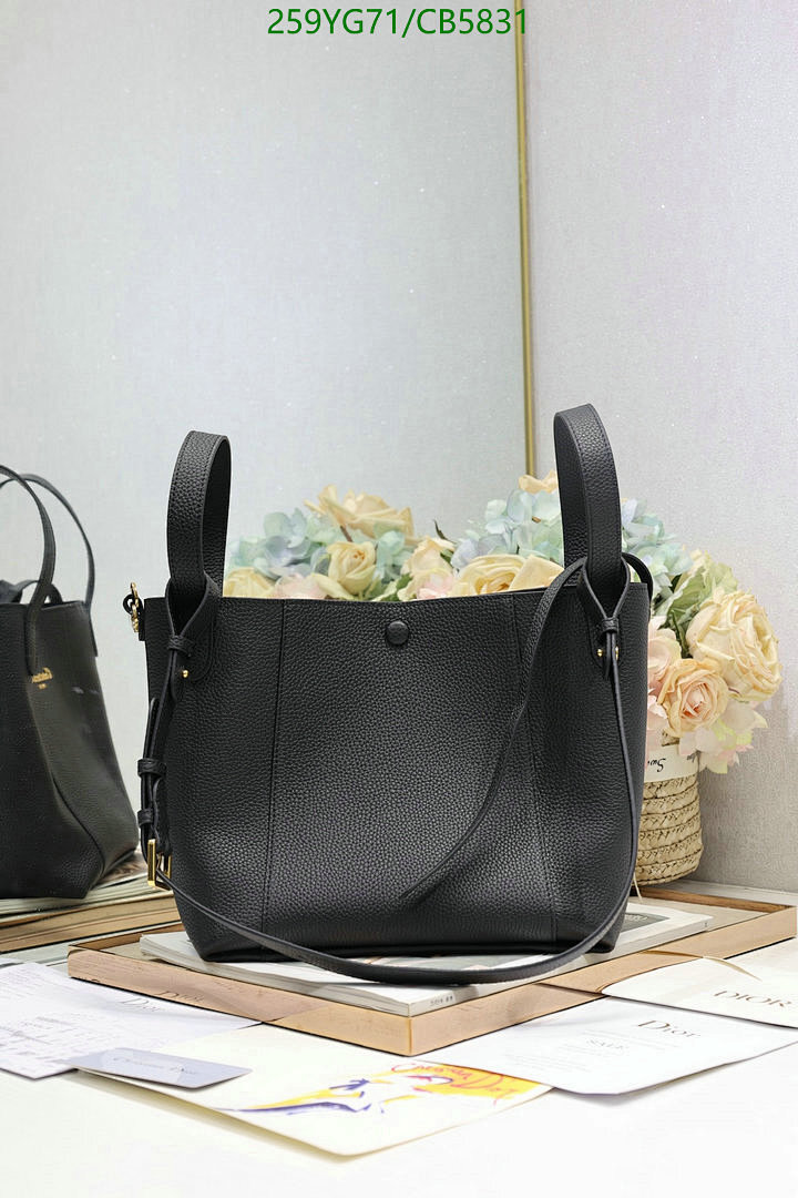 Dior-Bag-Mirror Quality Code: CB5831 $: 259USD