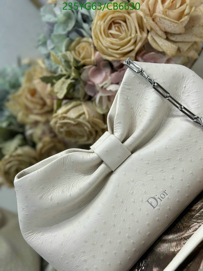 Dior-Bag-Mirror Quality Code: CB6630 $: 235USD