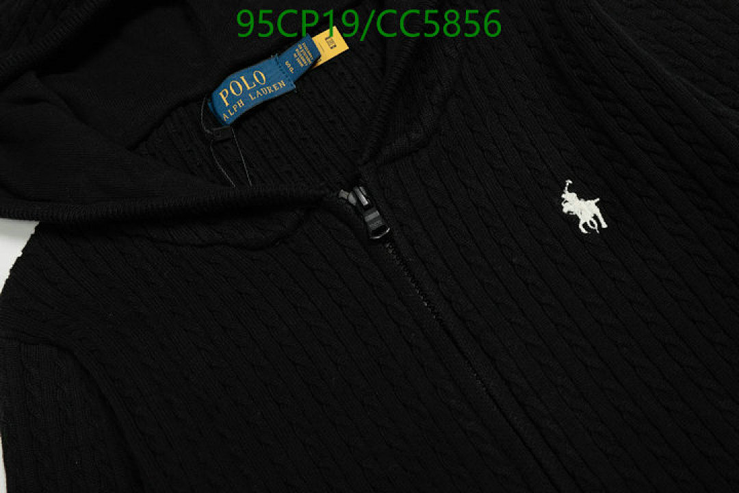 Ralph Lauren-Clothing Code: CC5856 $: 95USD