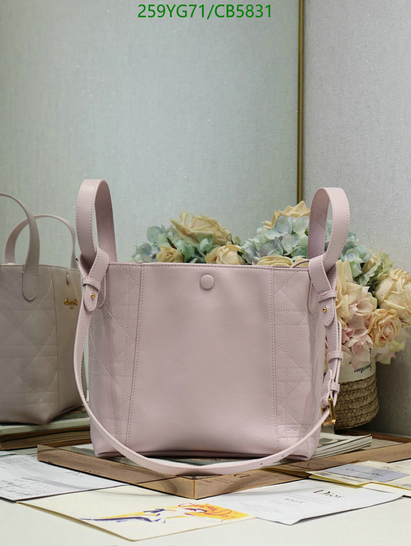 Dior-Bag-Mirror Quality Code: CB5831 $: 259USD