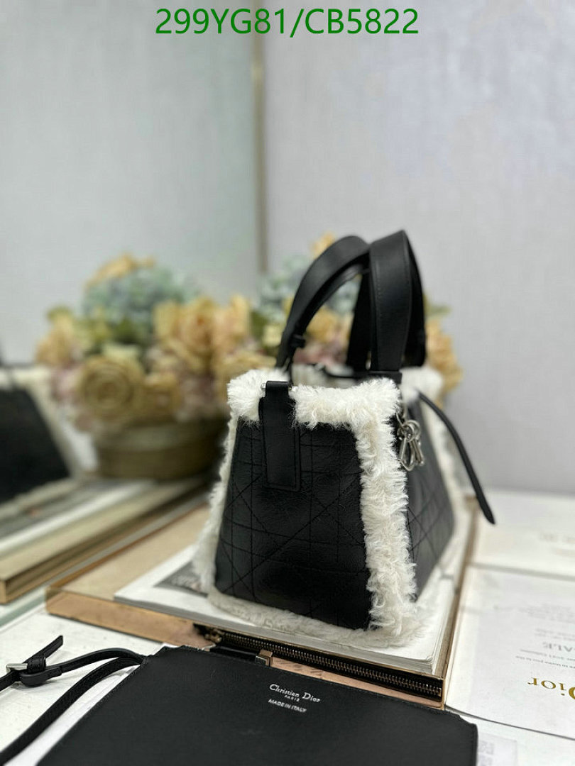 Dior-Bag-Mirror Quality Code: CB5822