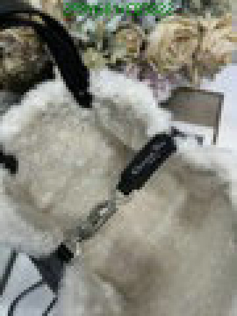 Dior-Bag-Mirror Quality Code: CB5822