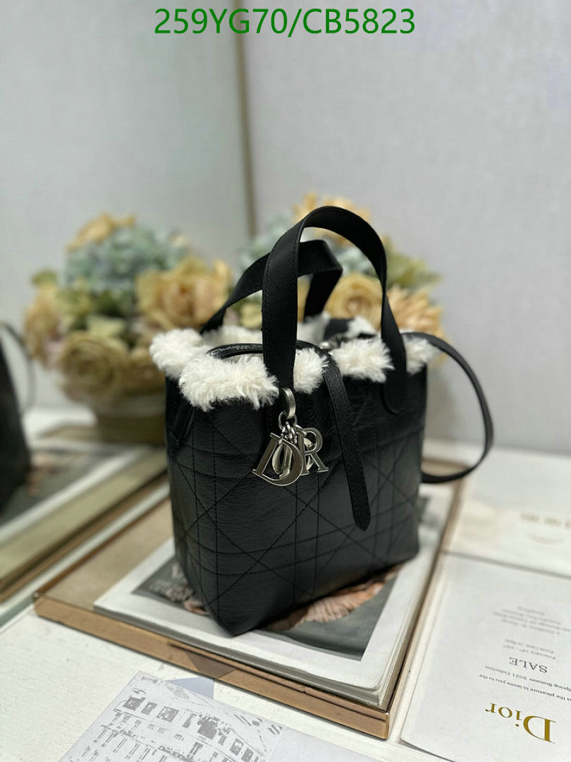 Dior-Bag-Mirror Quality Code: CB5823