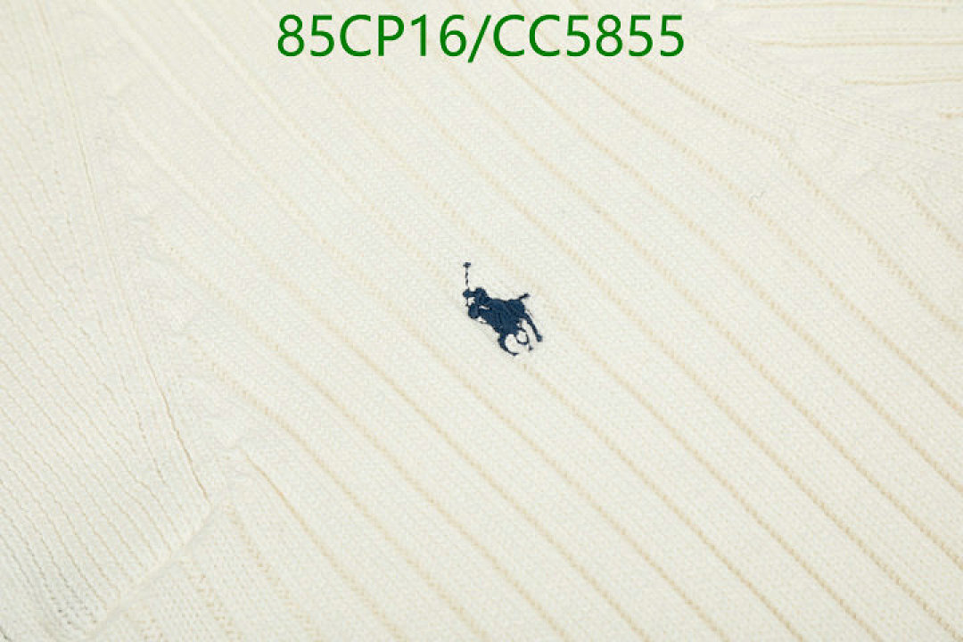 Ralph Lauren-Clothing Code: CC5855 $: 85USD