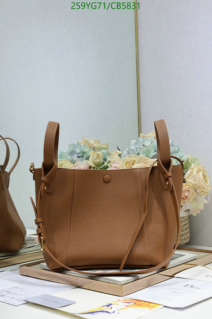 Dior-Bag-Mirror Quality Code: CB5831 $: 259USD