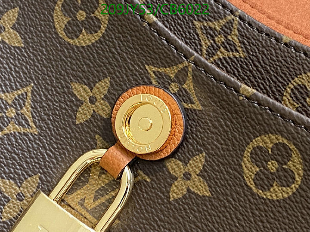 LV-Bag-Mirror Quality Code: CB6022 $: 209USD