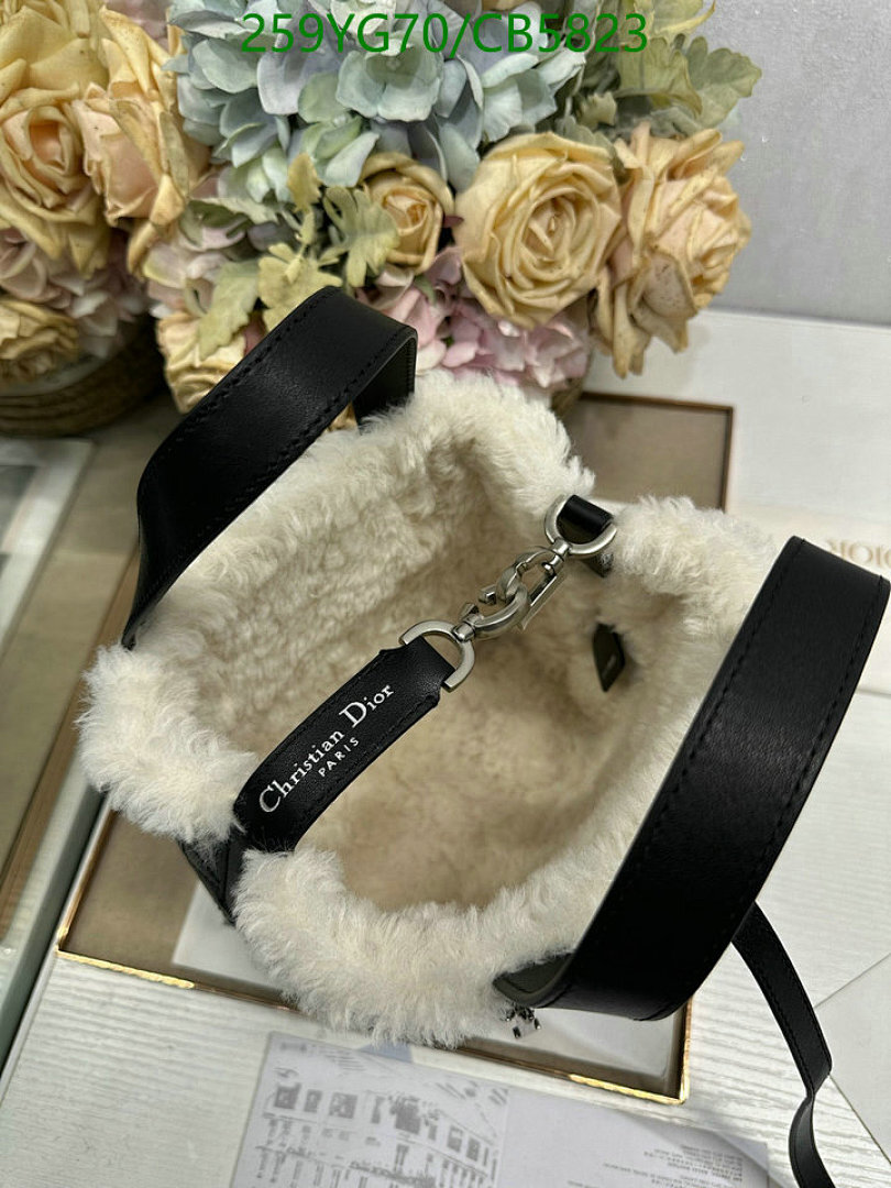 Dior-Bag-Mirror Quality Code: CB5823