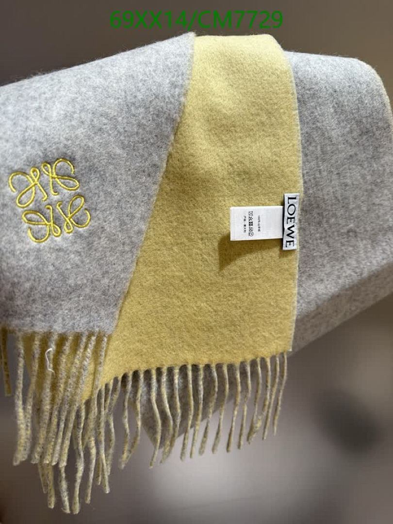 Loewe-Scarf Code: CM7729 $: 69USD