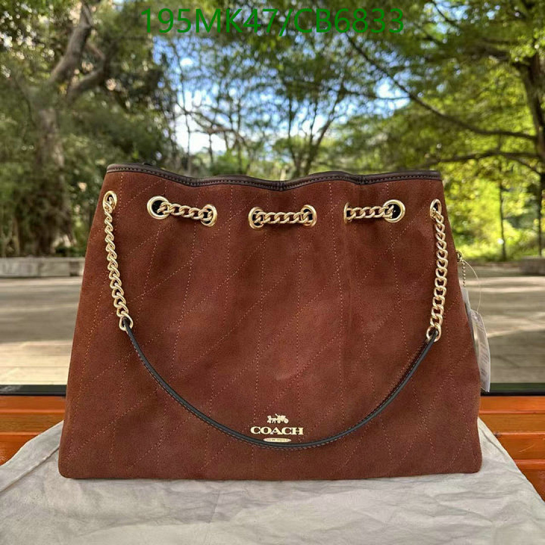 Coach-Bag-Mirror Quality Code: CB6833 $: 195USD
