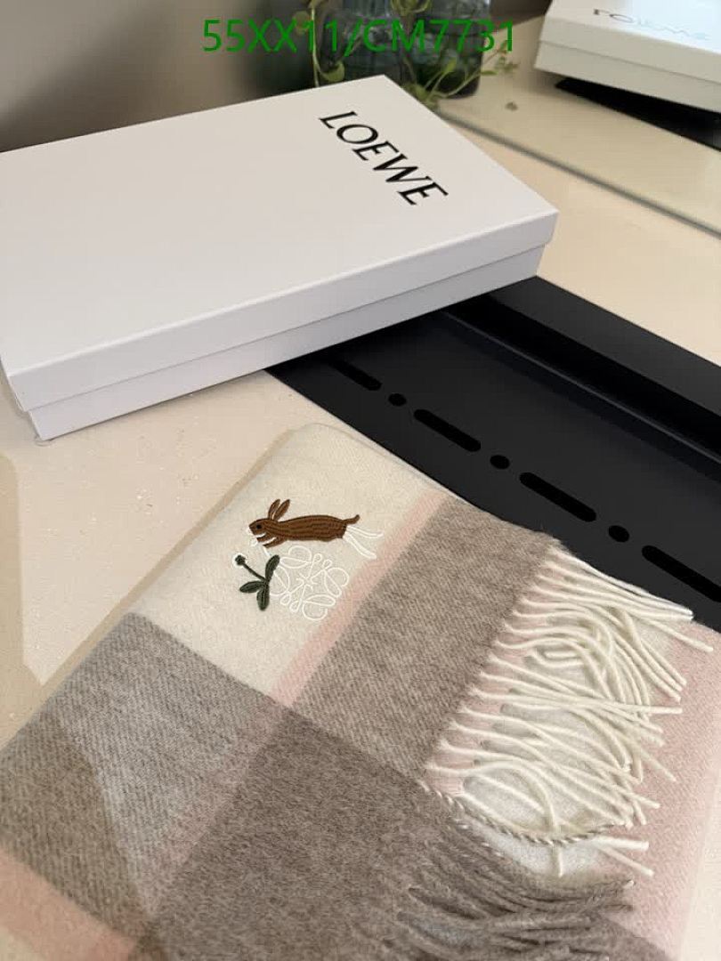 Loewe-Scarf Code: CM7731 $: 55USD