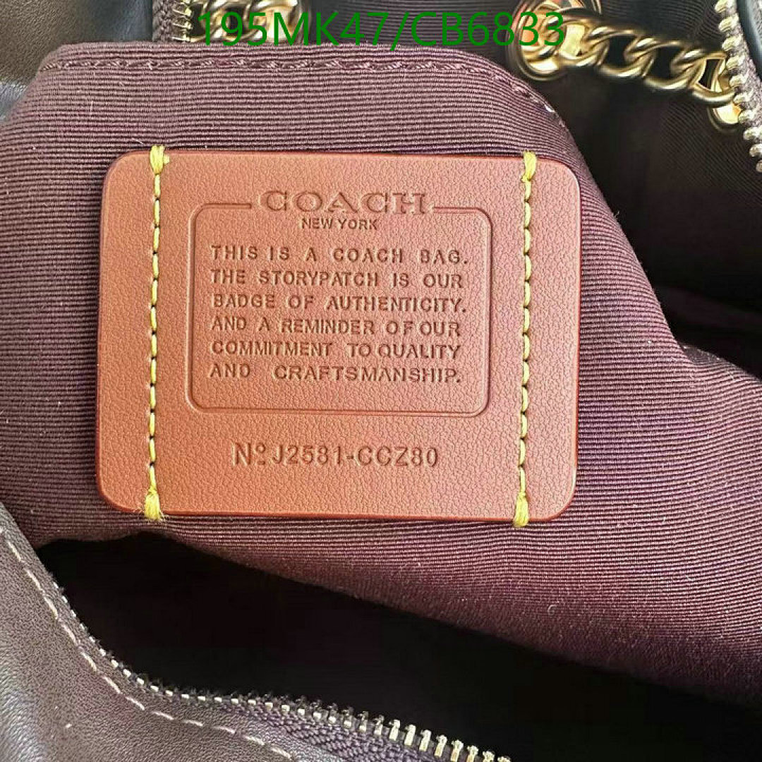 Coach-Bag-Mirror Quality Code: CB6833 $: 195USD