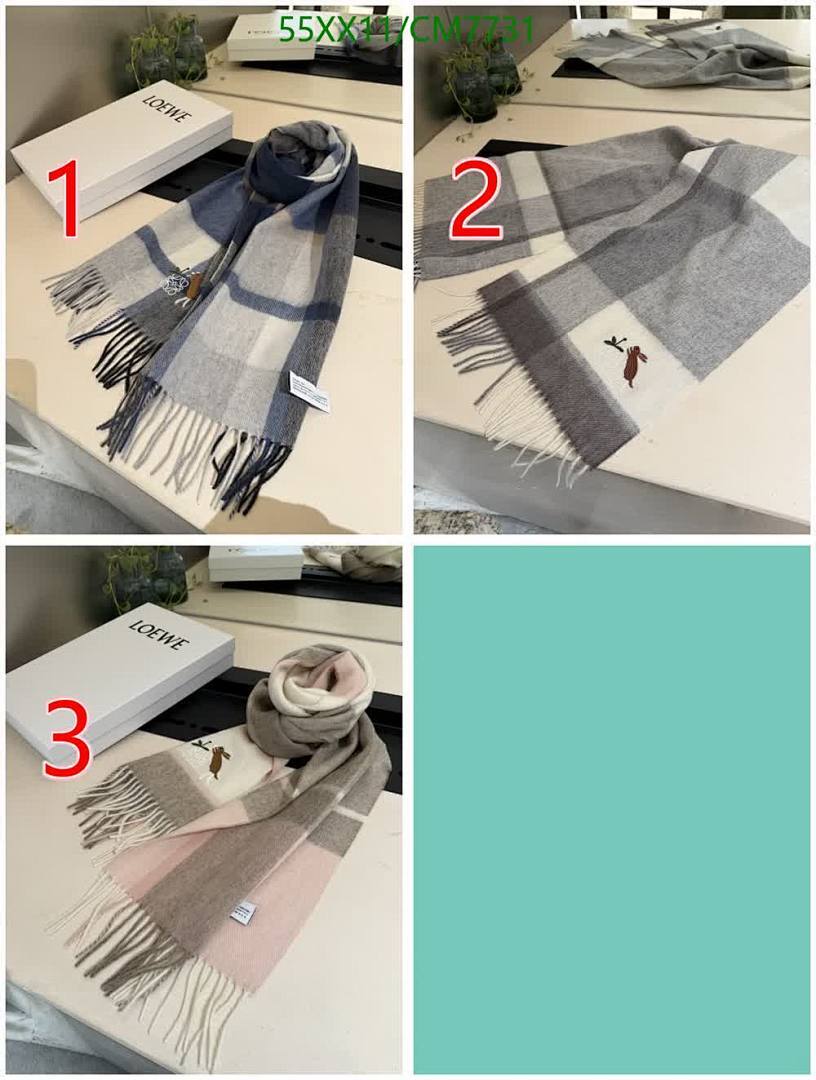 Loewe-Scarf Code: CM7731 $: 55USD