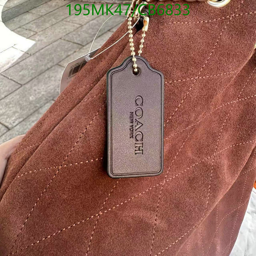 Coach-Bag-Mirror Quality Code: CB6833 $: 195USD