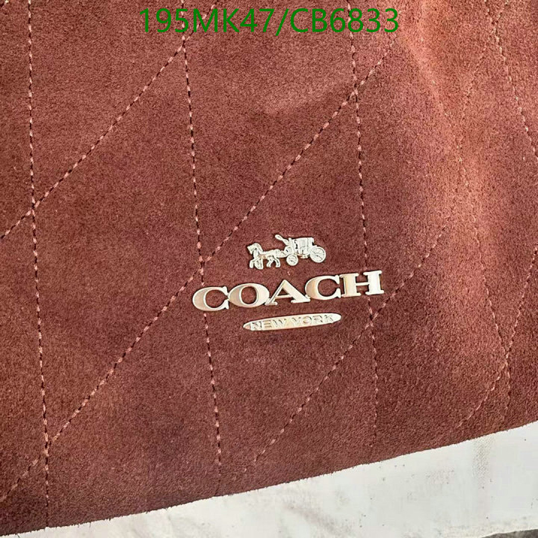 Coach-Bag-Mirror Quality Code: CB6833 $: 195USD