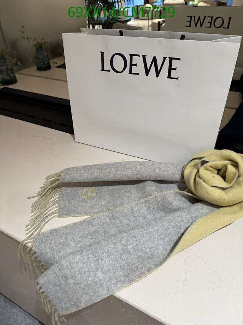 Loewe-Scarf Code: CM7729 $: 69USD