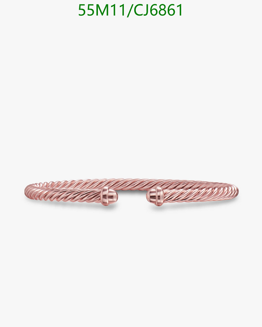 David Yurman-Jewelry Code: CJ6861 $: 55USD