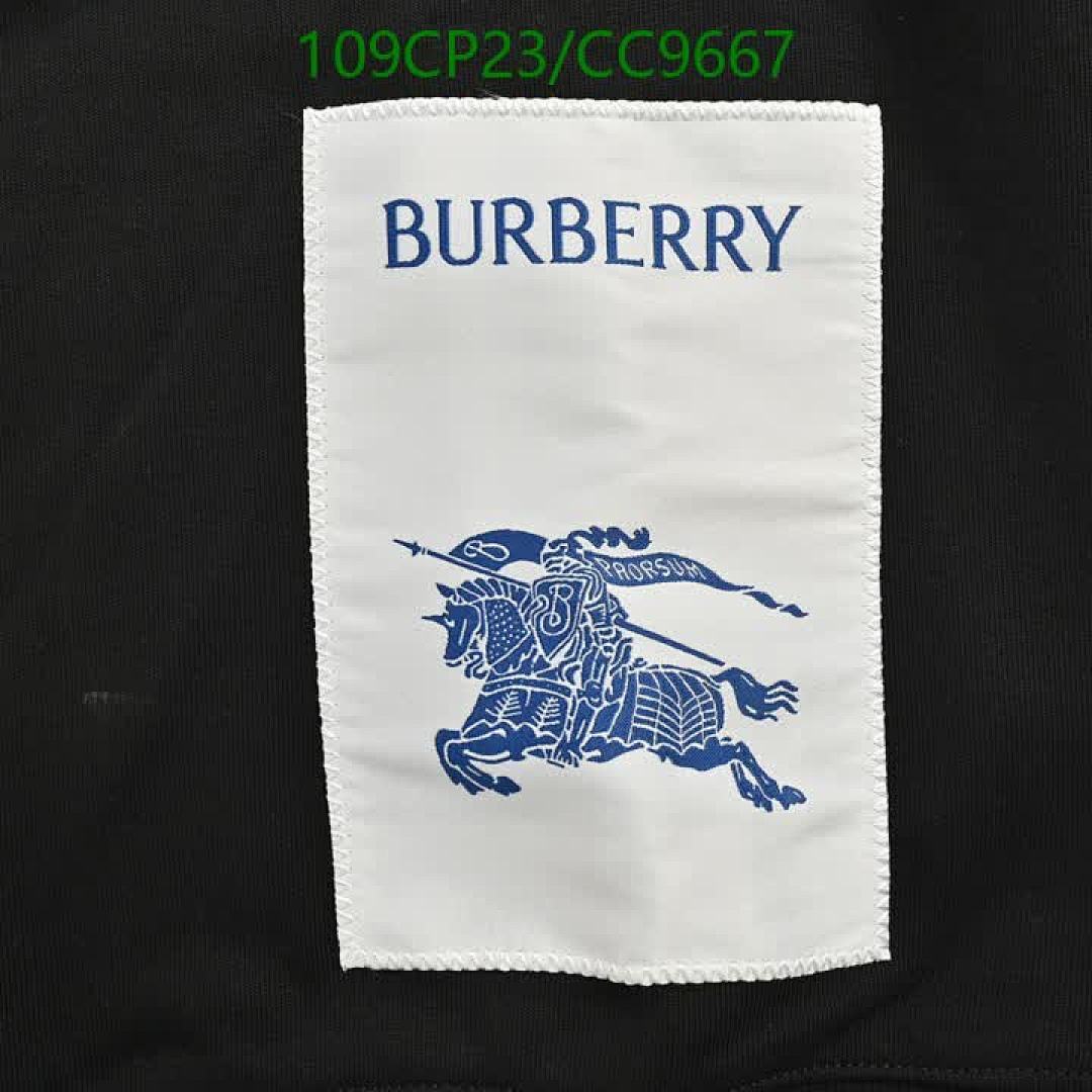 Burberry-Clothing Code: CC9667 $: 109USD
