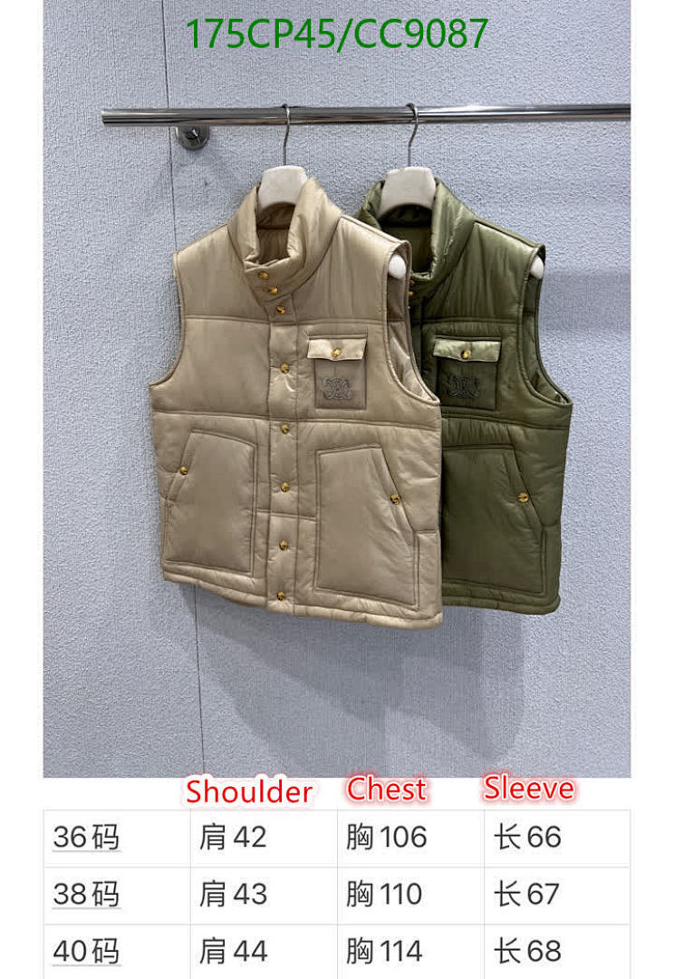 Celine-Down jacket Women Code: CC9087 $: 175USD