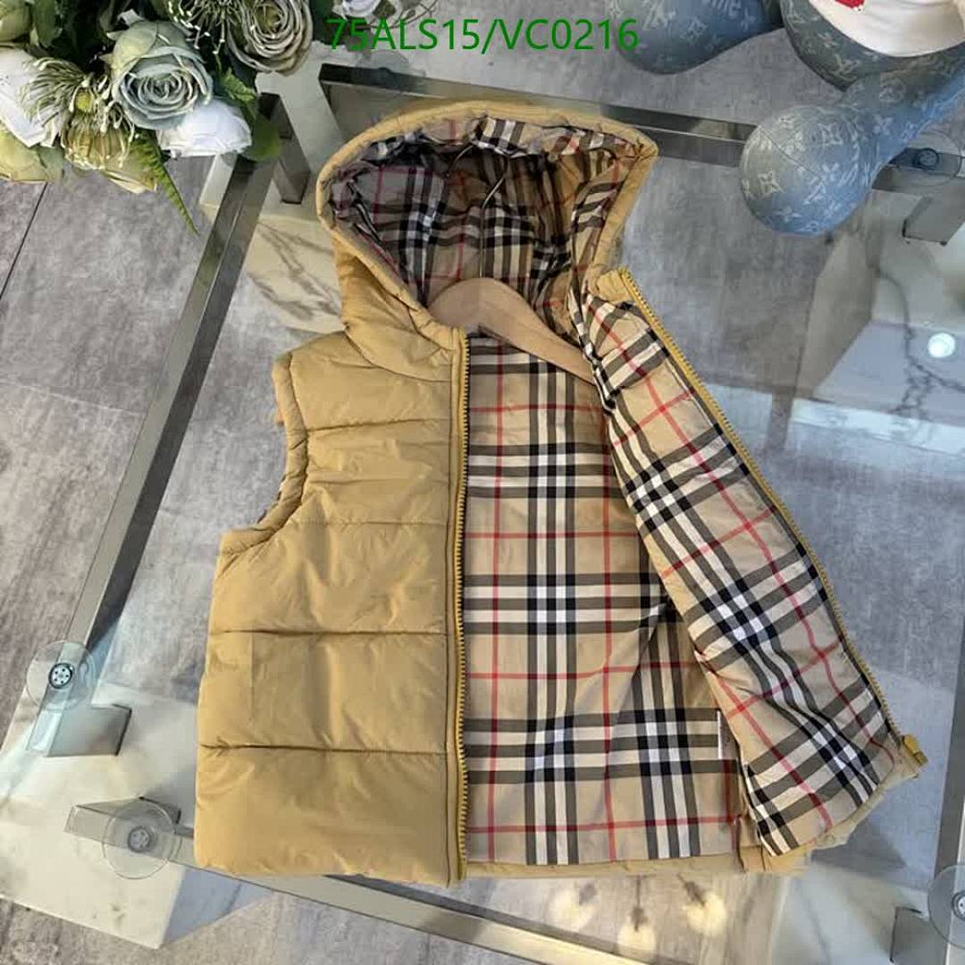 Down Jacket-Kids Clothing Code: VC0216 $: 75USD