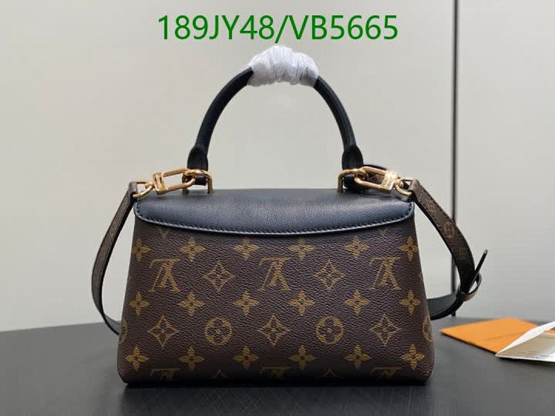 LV-Bag-Mirror Quality Code: VB5665 $: 189USD