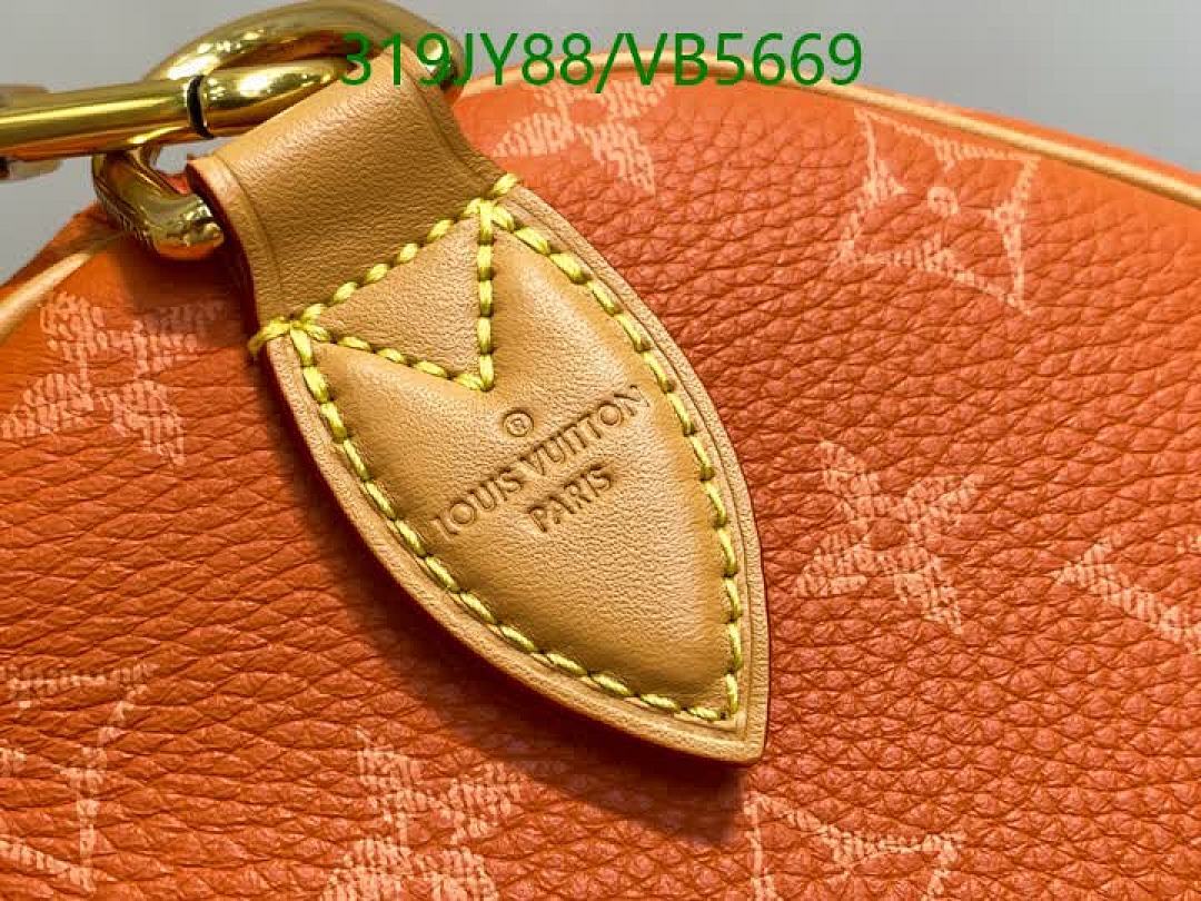 LV-Bag-Mirror Quality Code: VB5669 $: 319USD