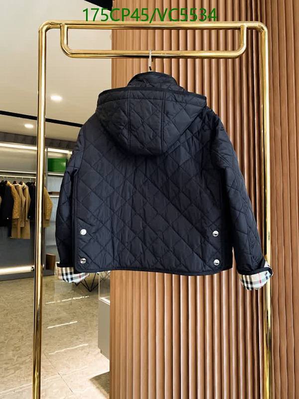 Burberry-Down jacket Women Code: VC5534 $: 175USD