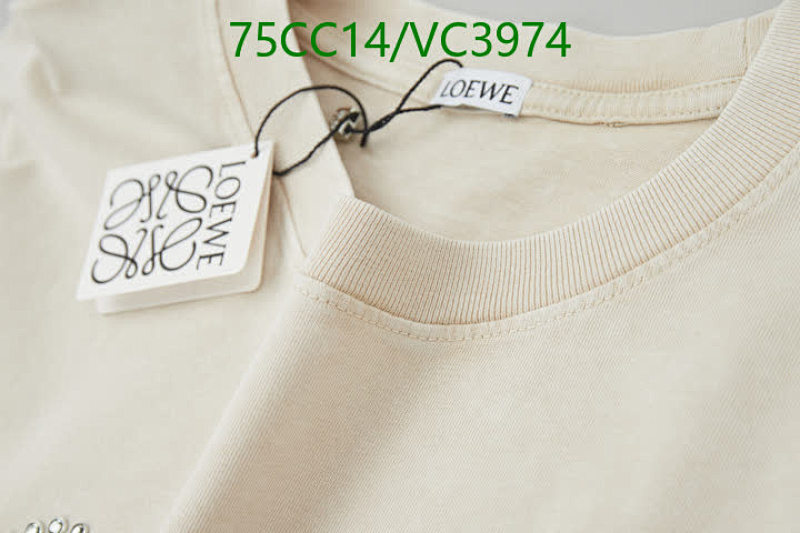 Loewe-Clothing Code: VC3974 $: 75USD