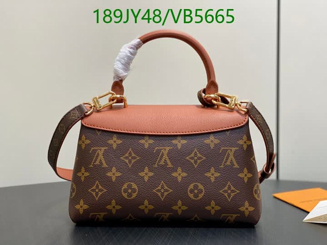LV-Bag-Mirror Quality Code: VB5665 $: 189USD