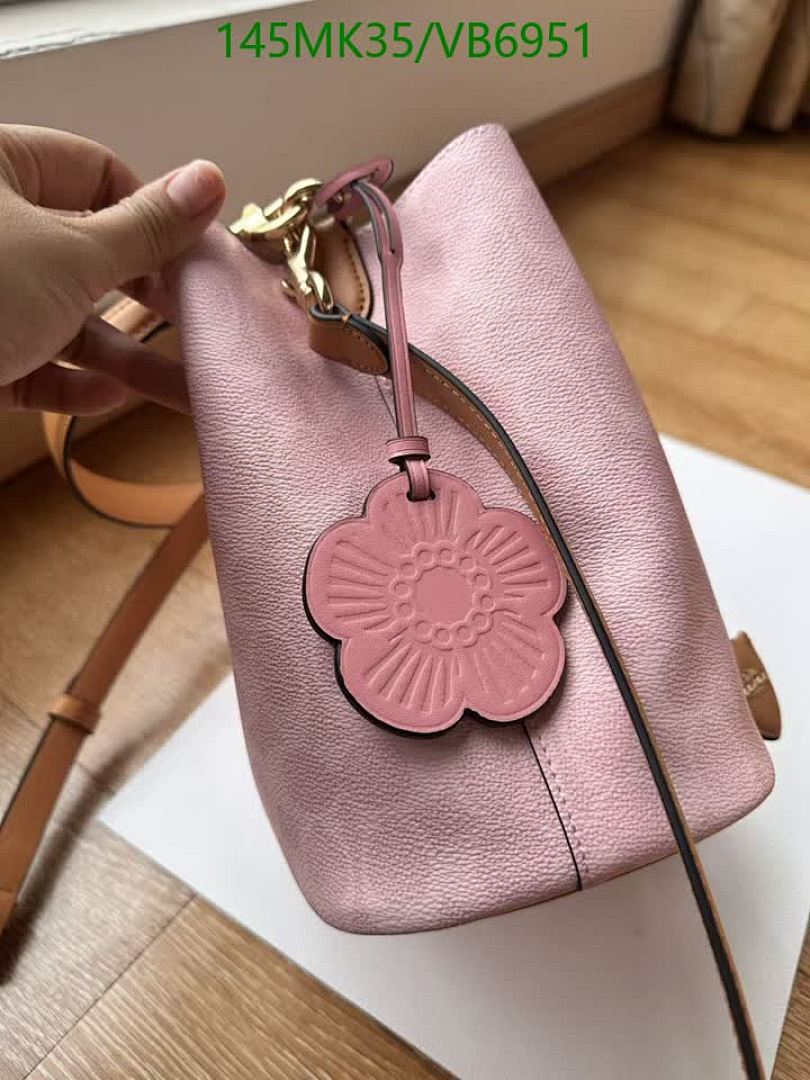 Coach-Bag-Mirror Quality Code: VB6951 $: 145USD