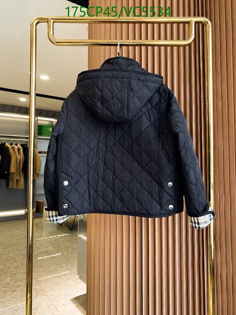 Burberry-Down jacket Women Code: VC5534 $: 175USD