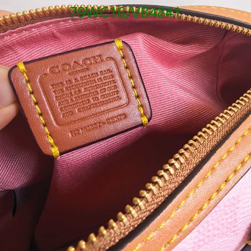 Coach-Bag-4A Quality Code: VB4841 $: 79USD