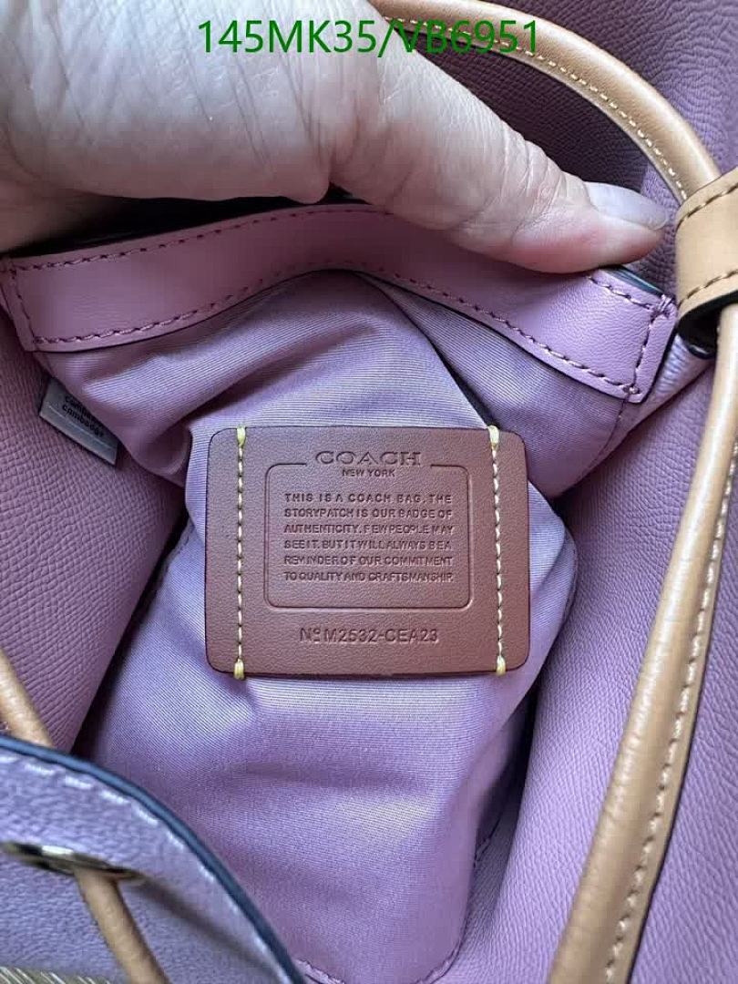 Coach-Bag-Mirror Quality Code: VB6951 $: 145USD